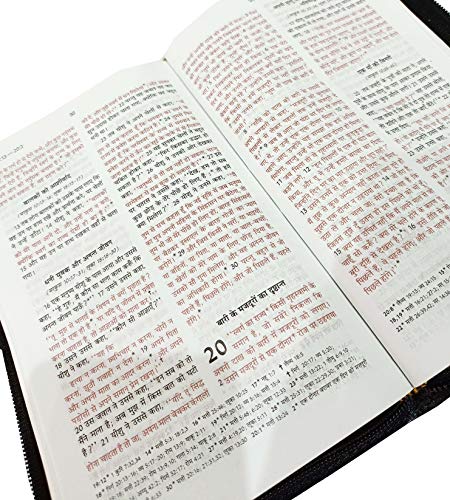 Holy Bible Hindi (Red Letter Edition) Zip Golden Edge Contains Old and New Testament BSI