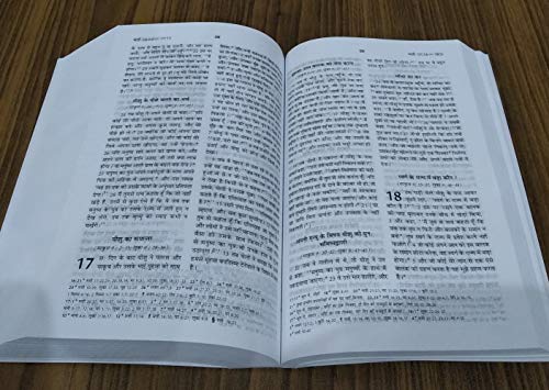 THE HOLY BIBLE (Semi Compact Edition) HINDI BSI VERSION CONTAINING OLD and NEW TESTAMENT