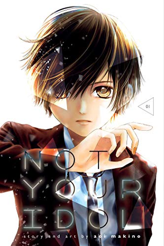 NOT YOUR IDOL V1 book cover