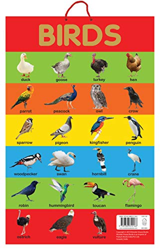Birds - Early Learning Educational Posters For Children: Perfect For Kindergarten, Nursery and Homes book cover
