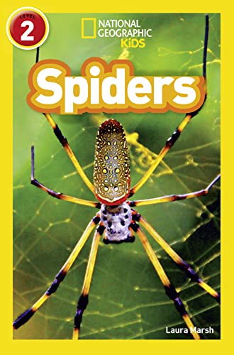 SPIDERS book cover