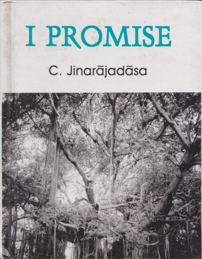 I Promise: Talks to Young Disciples book cover