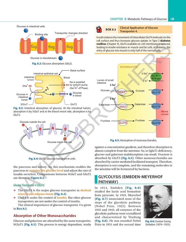 Textbook of Biochemistry for Medical Students, 11/E for MBBS 1st Year and NEET-PG | CBME-Aligned, 40 Case Scenarios, AETCOM Module | Free One Stop ... Questions: A Clinically Integrated Approach