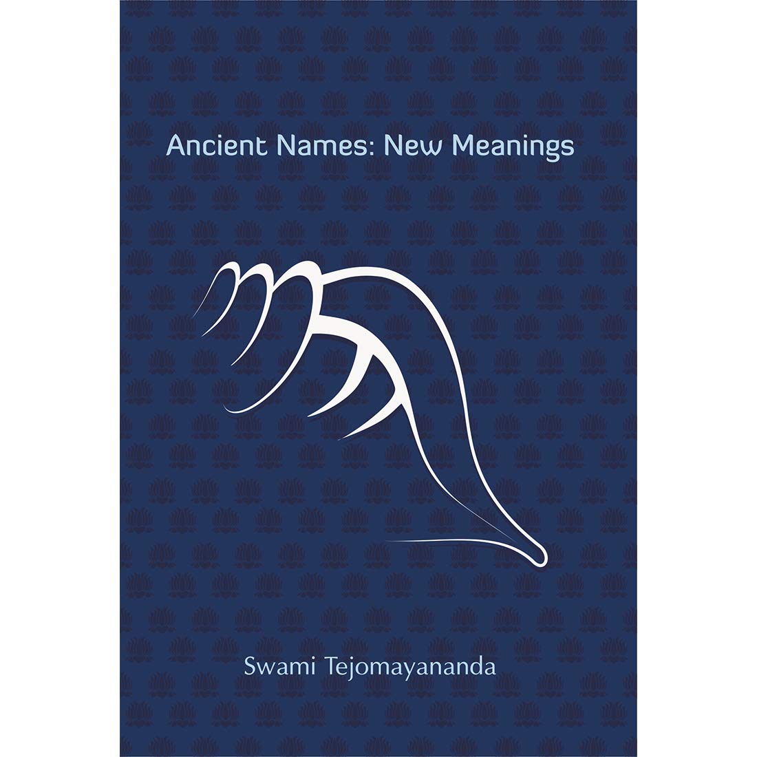 Ancient Names: New Meanings book cover