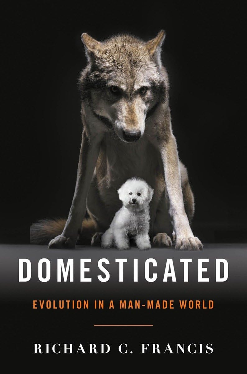 Domesticated: Evolution In A Man-made World book cover