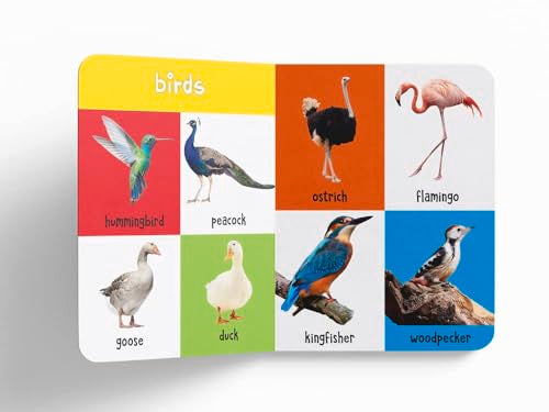 My First 100 Library: Boxset of 5 Early Learning Board Books for Kids | Learn First 100 Words, Numbers, Animals & Birds, Food We Eat, and Things That Move | Perfect for Babies, Toddlers, Preschool & Homeschool | Ages 0–5 Years