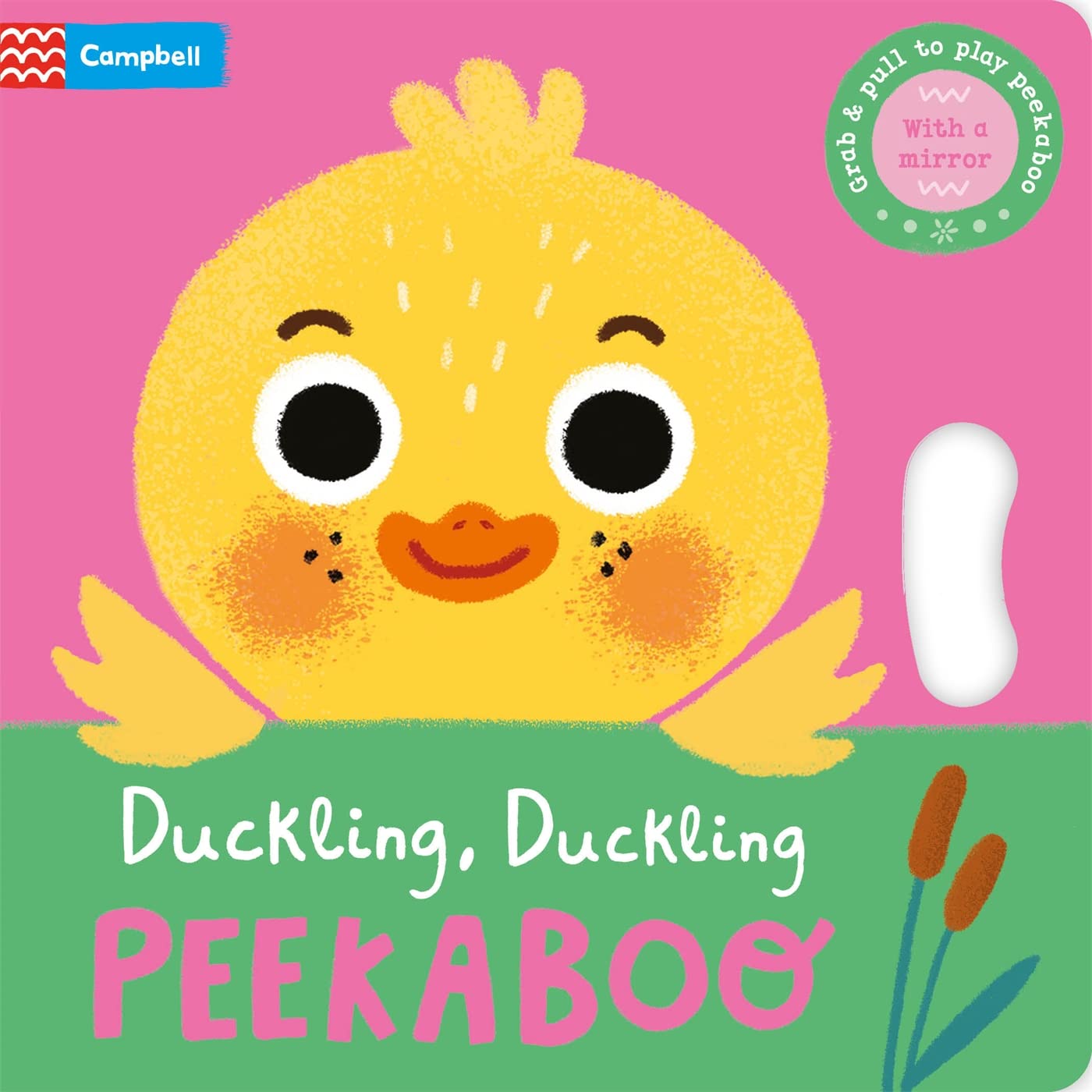 Duckling, Duckling, PEEKABOO book cover