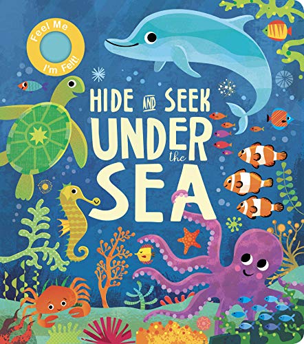 Hide and seak under the sea book cover