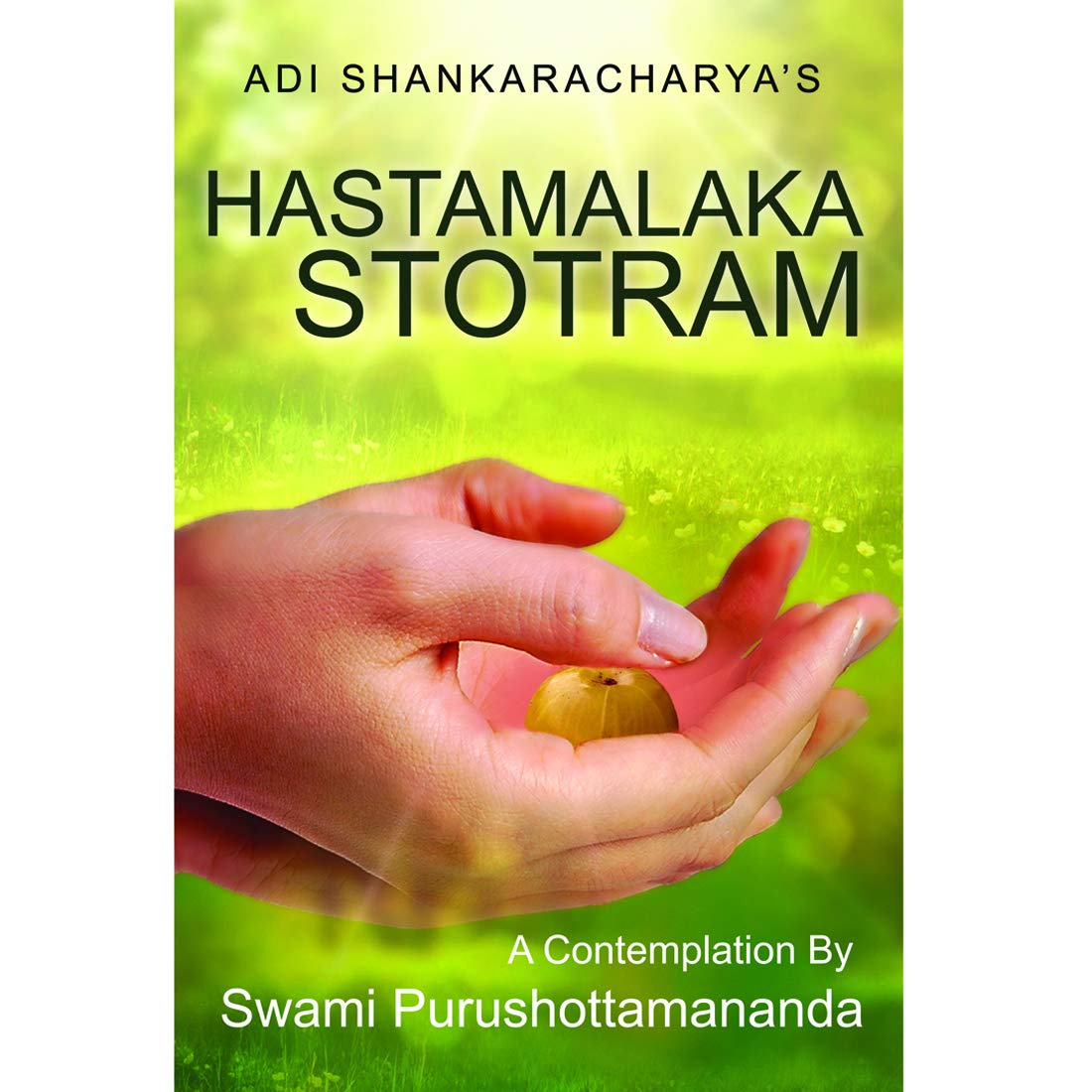 Hastamalaka Stotram book cover