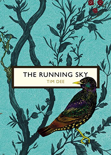 Running Sky (The Birds and the Bees), The book cover