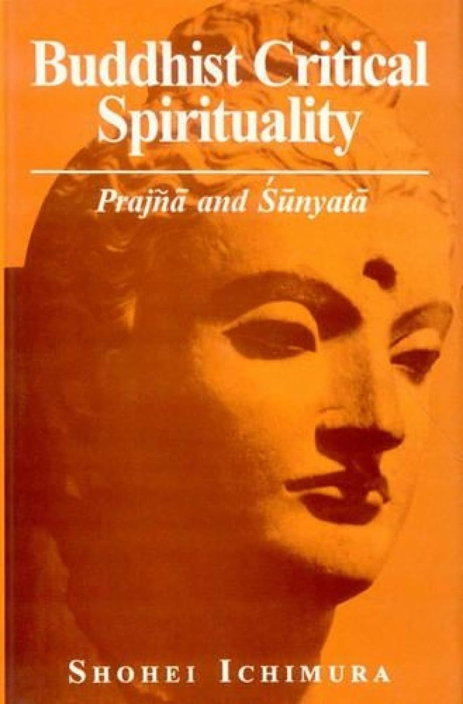 Buddhist Critical Spirituality:Praj?? and ??nyata book cover
