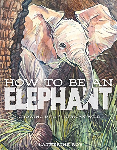 HOW TO BE AN ELEPHANT book cover