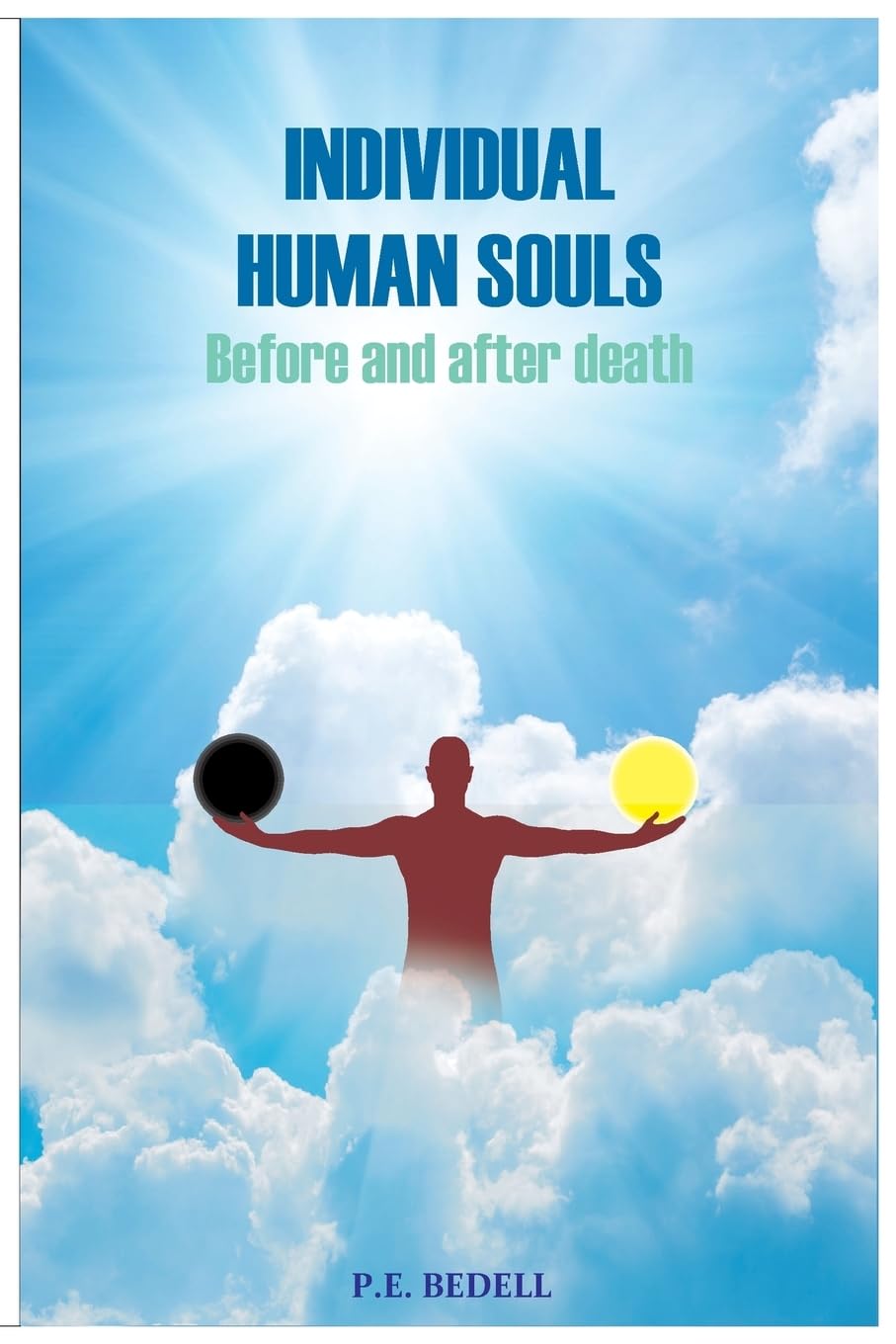 Individual Human Souls: Before and After Death: Volume 3 (Search for Truth) book cover