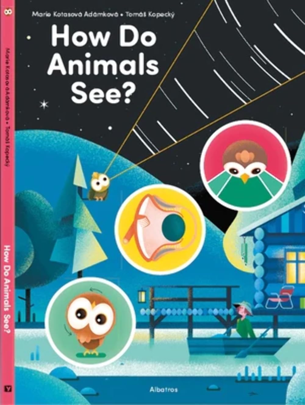 How Do Animals See? book cover