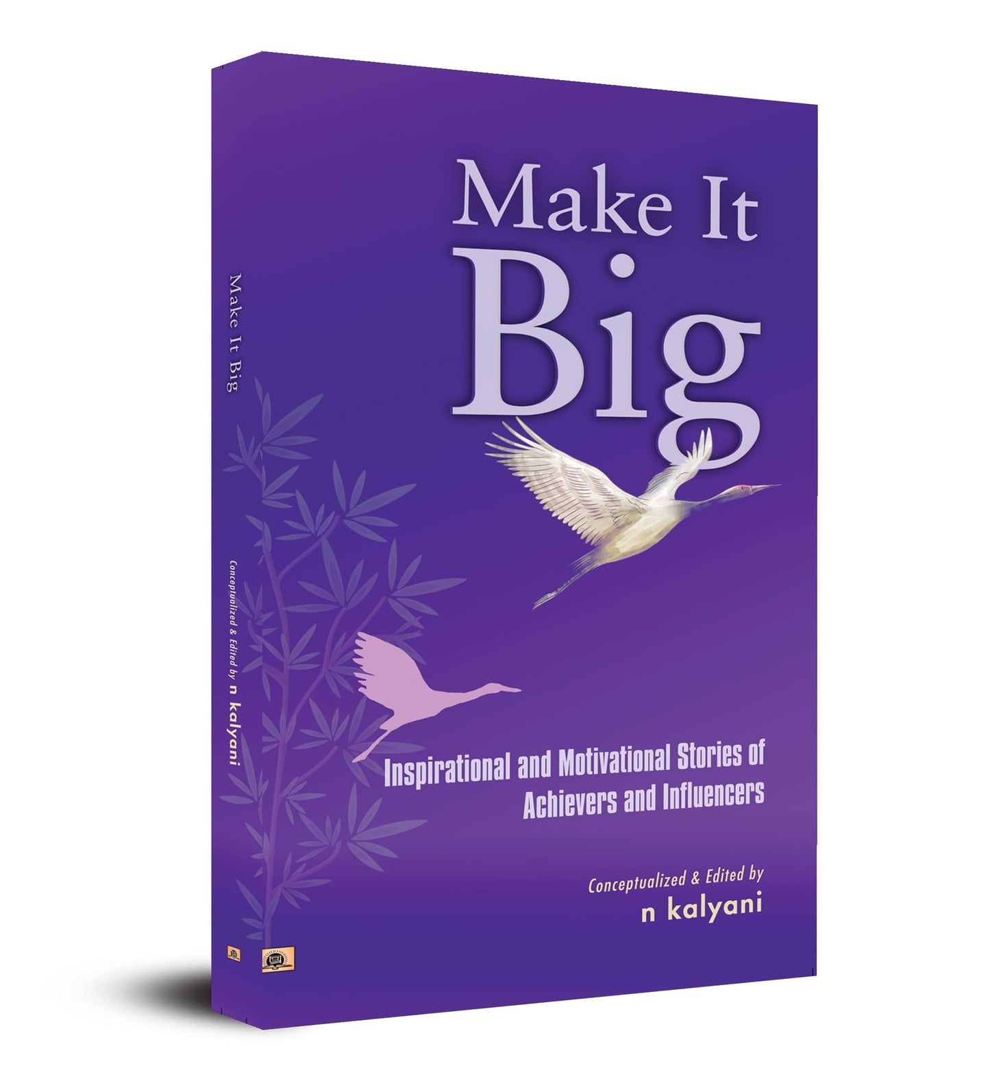 Make It Big: Inspirational and Motivational Stories of Achievers and Influencers by N Kalyani
