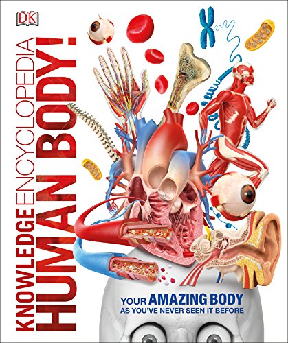 Knowledge Encyclopedia Human Body! (DKYR) book cover