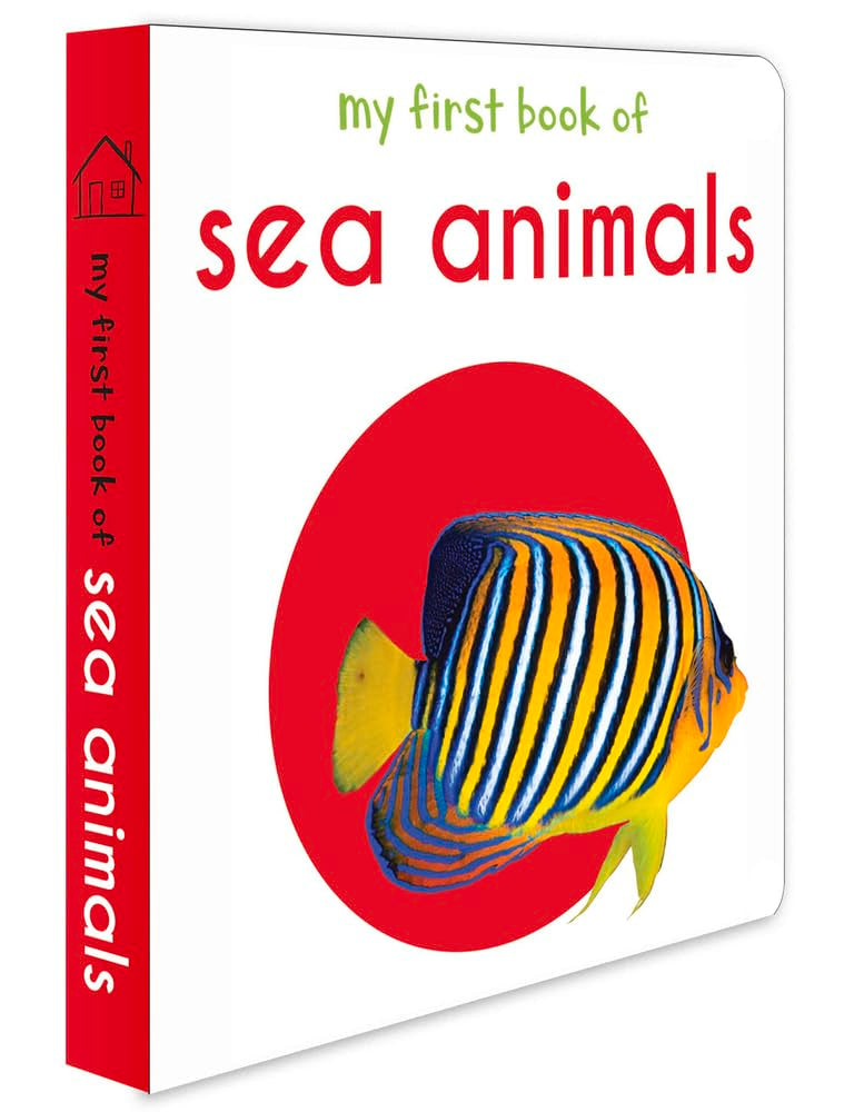 My First Book of Sea Animals: First Board Book book cover