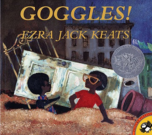 Goggles book cover