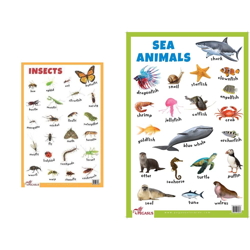 Insects book cover