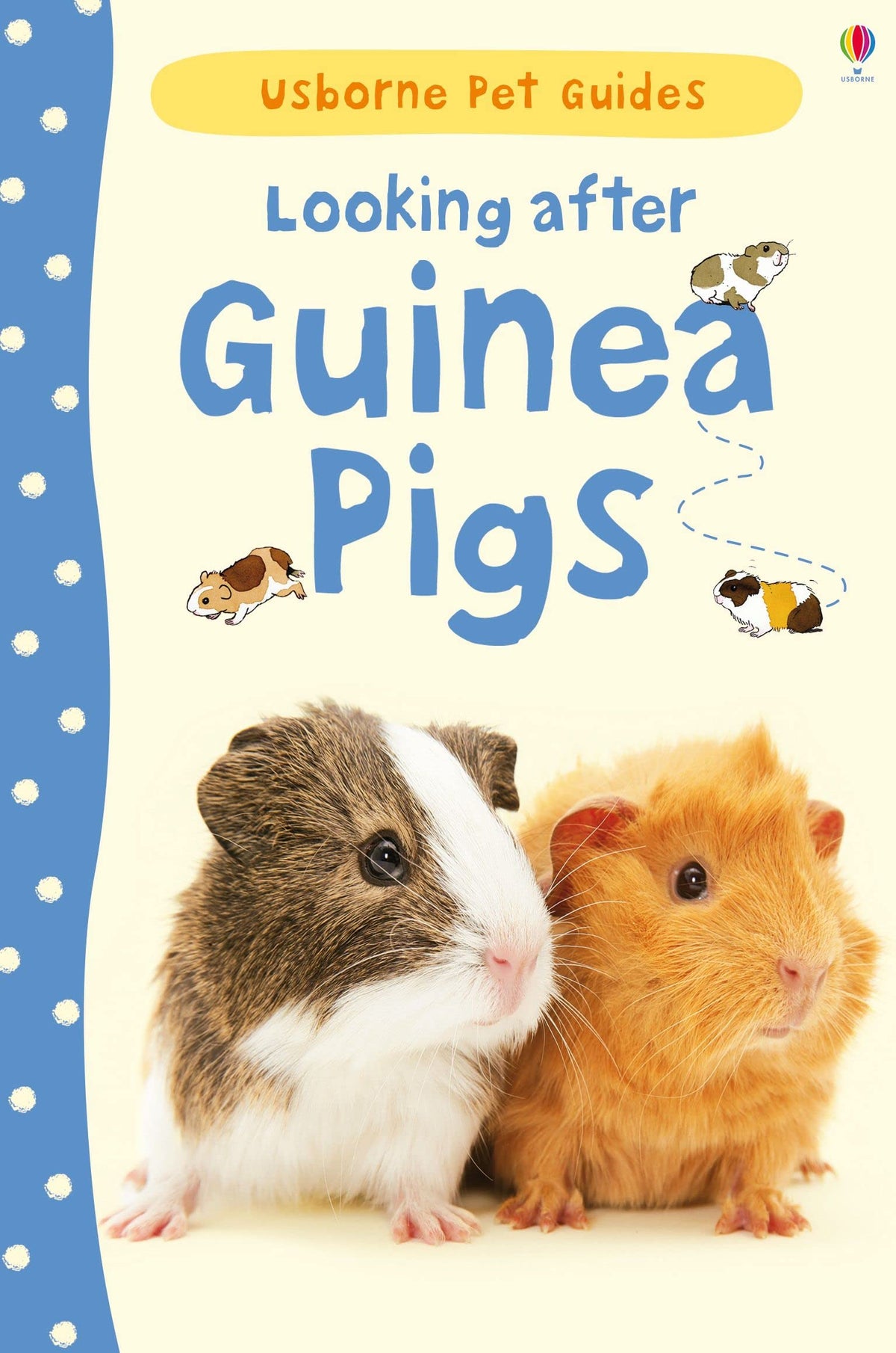 LOOKING AFTER GUINEA PIGS book cover
