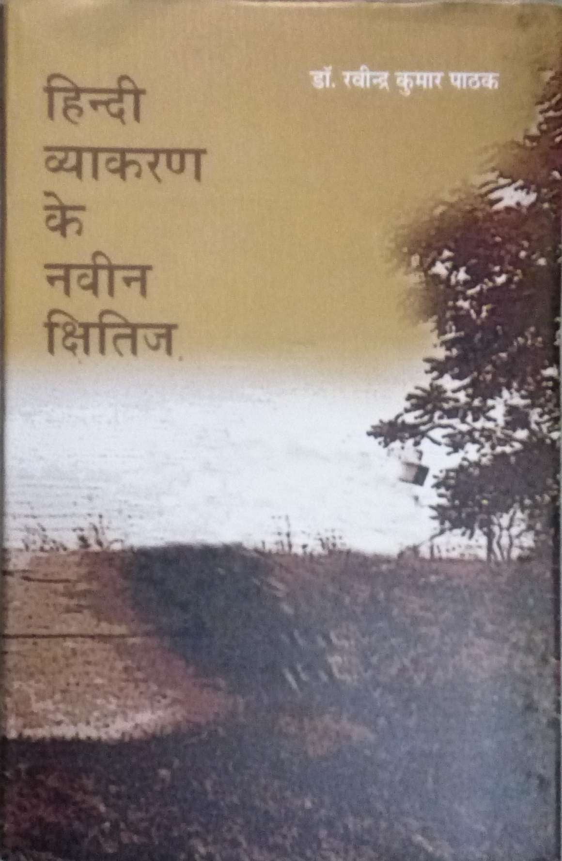 Hindi Vyakaran Ke Naveen Kshitij book cover