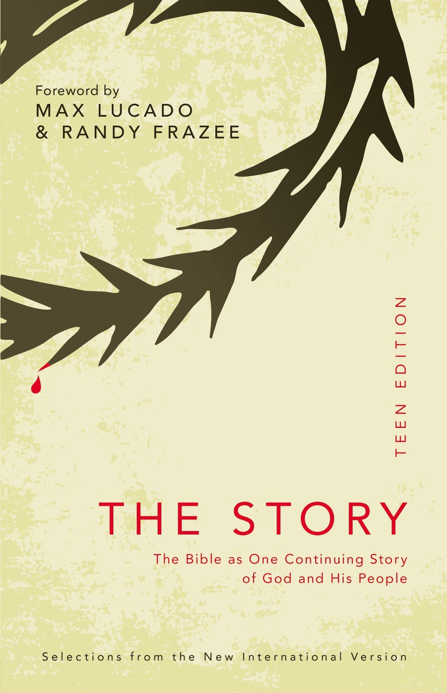The Story (NIV-Teen Edition) book cover