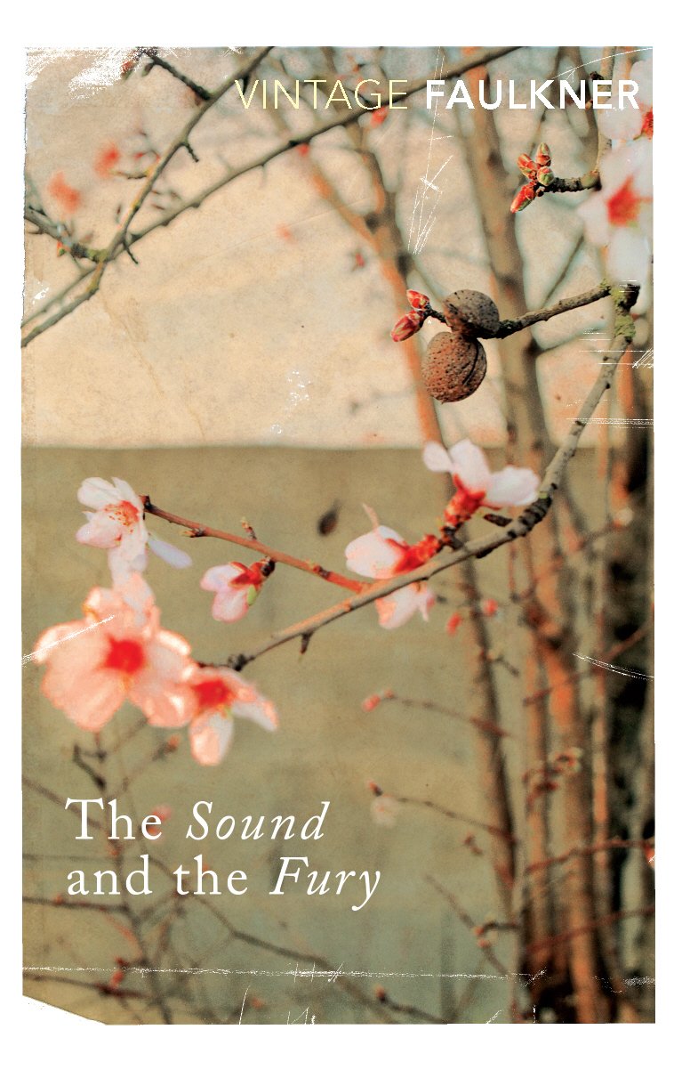 Sound and the Fury book cover