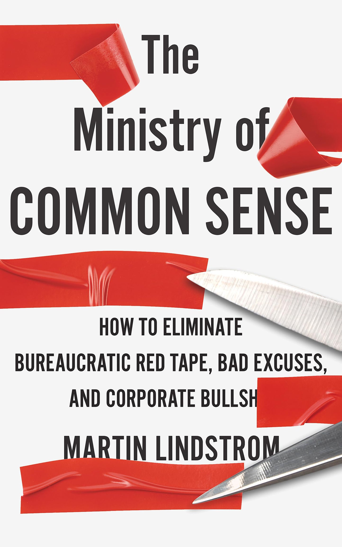 The Ministry of Common Sense: How to Eliminate Bureaucratic Red Tape, Bad
Excuses, and Corporate Bul book cover