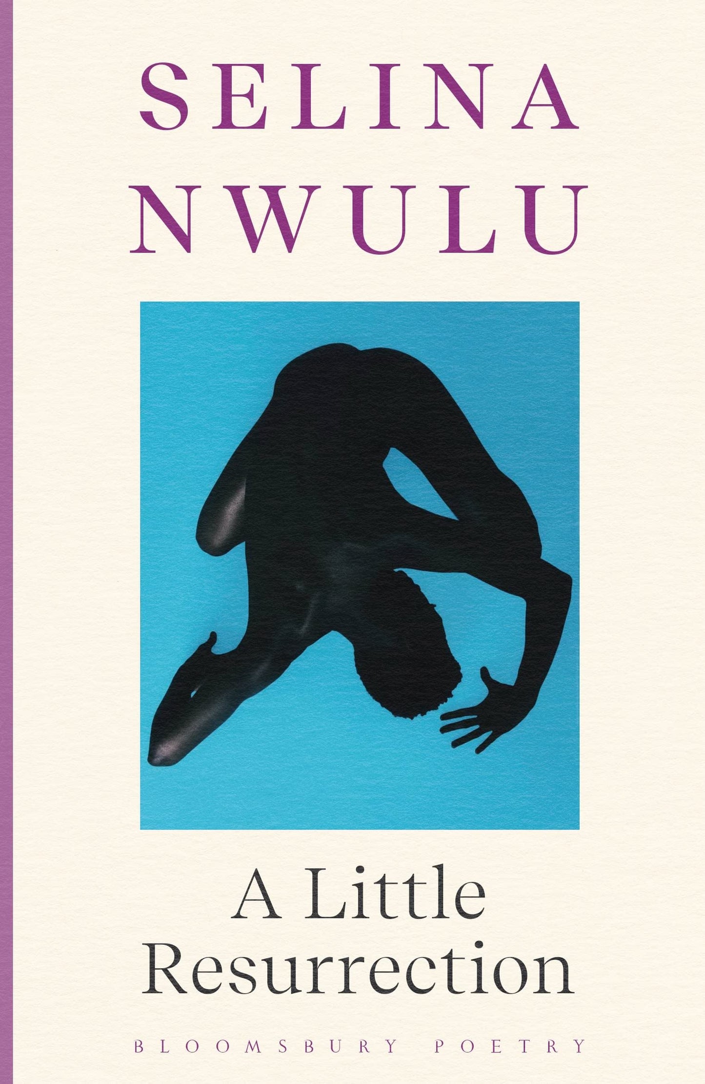 A Little Resurrection book cover