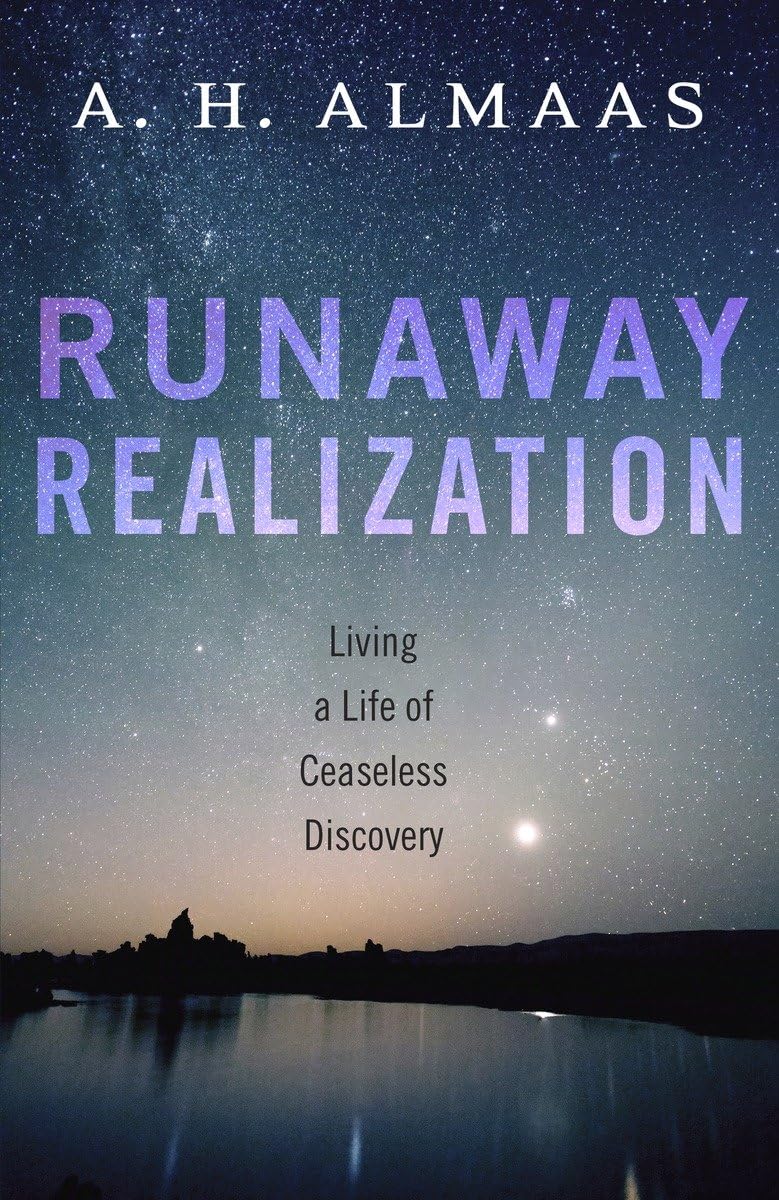 Runaway Realization book cover