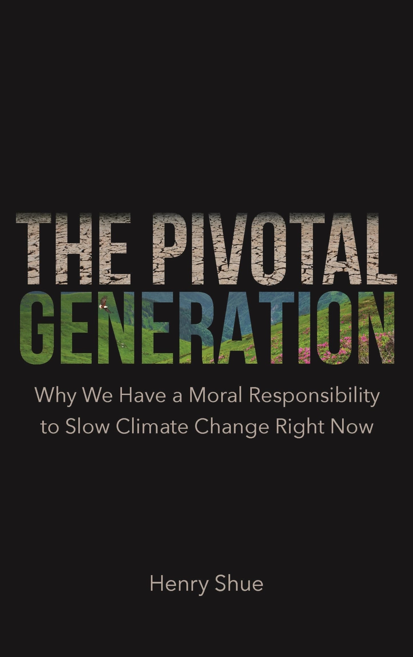 The Pivotal Generation book cover