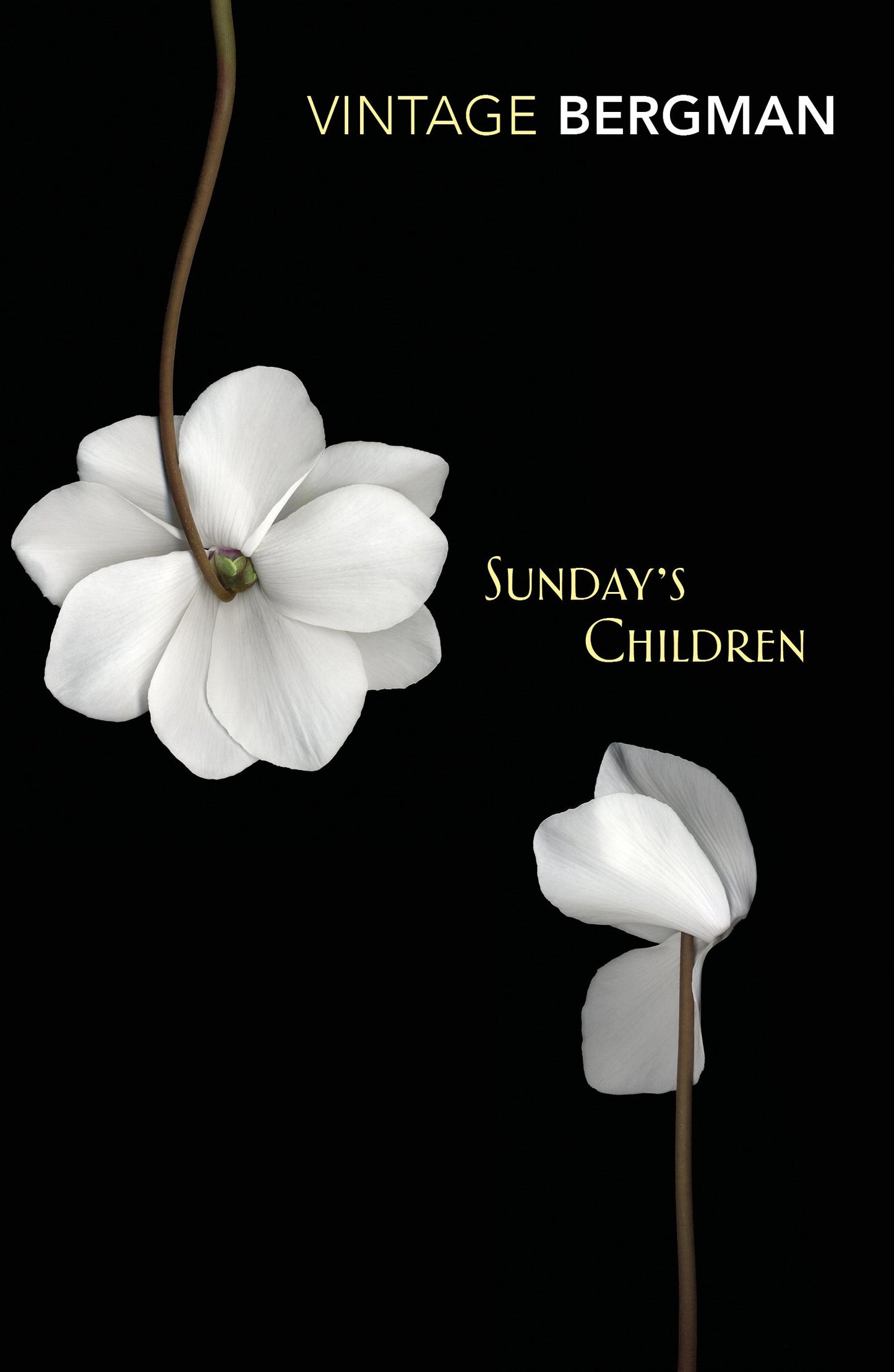 Sundays Children book cover