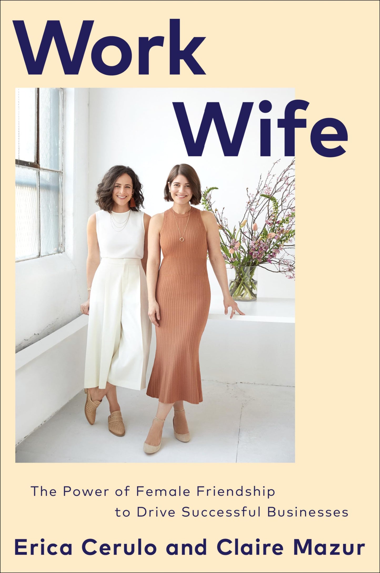 Work Wife book cover