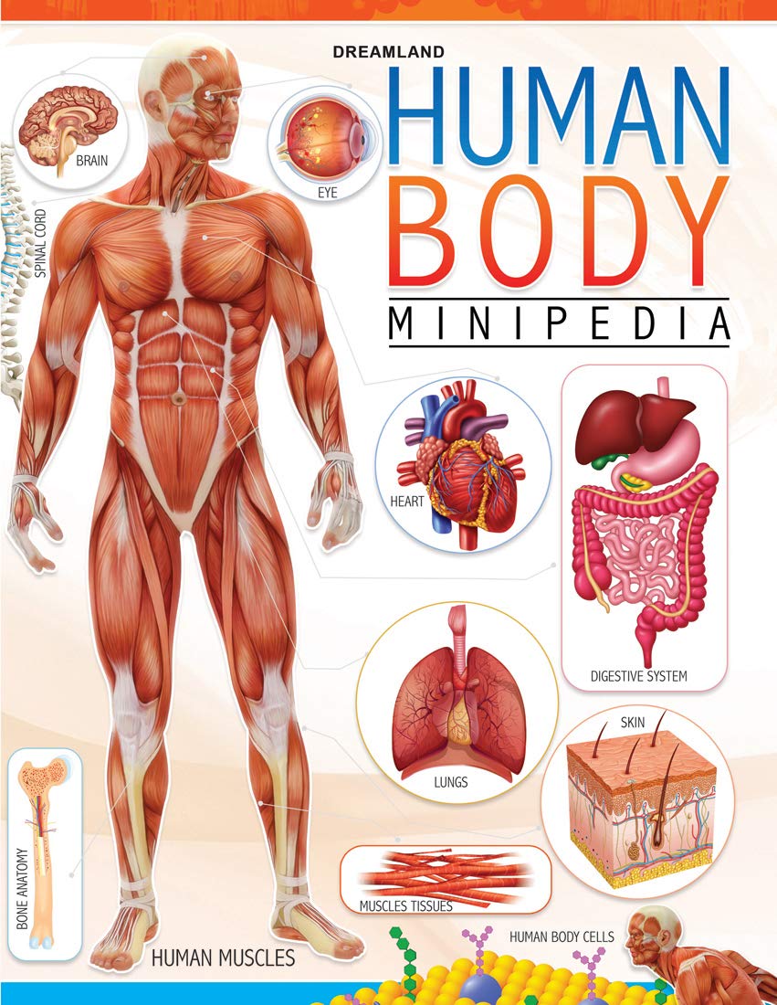 Human Body Minipedia For Kids