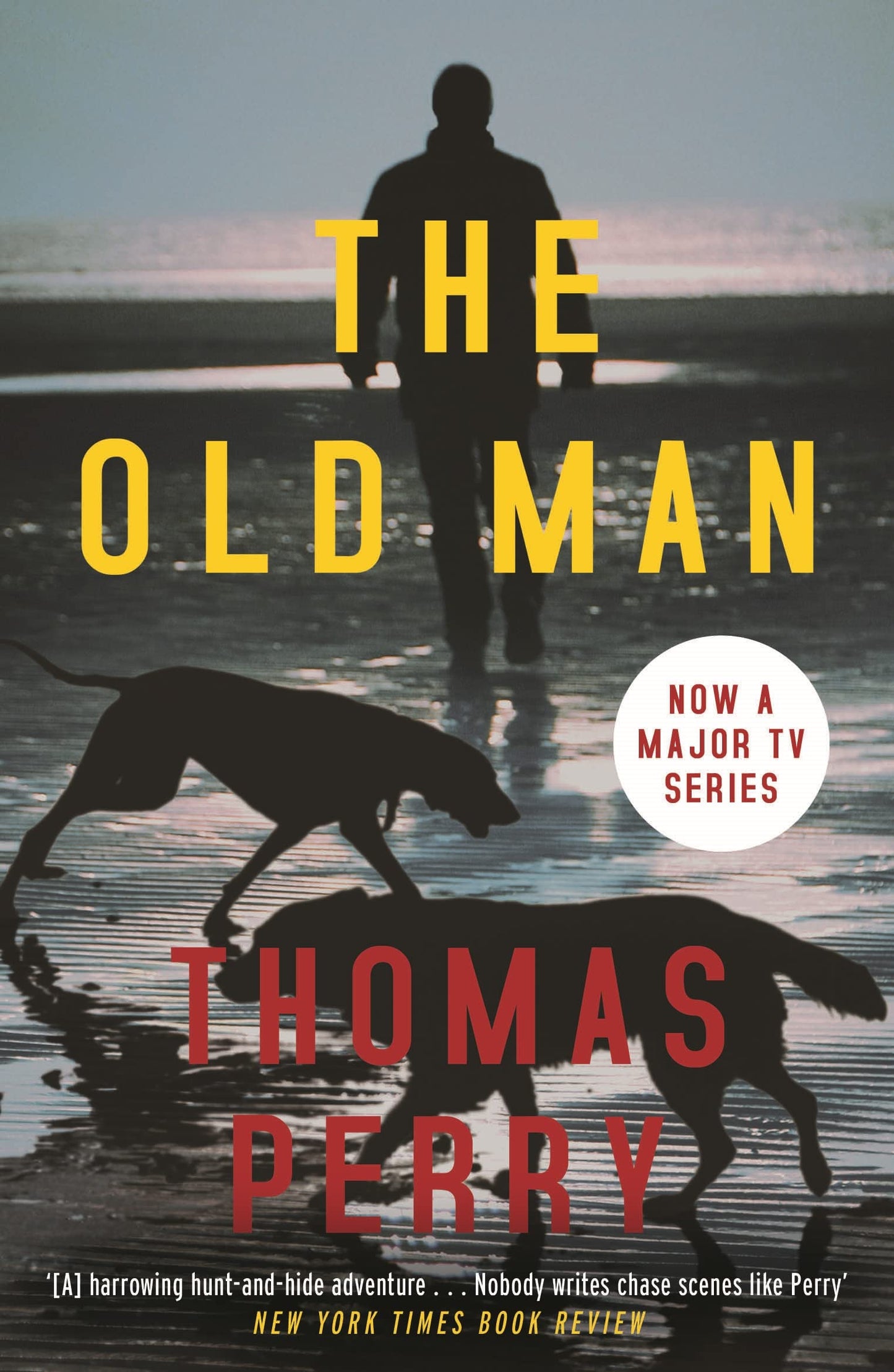 Old Man, The (LEAD) book cover