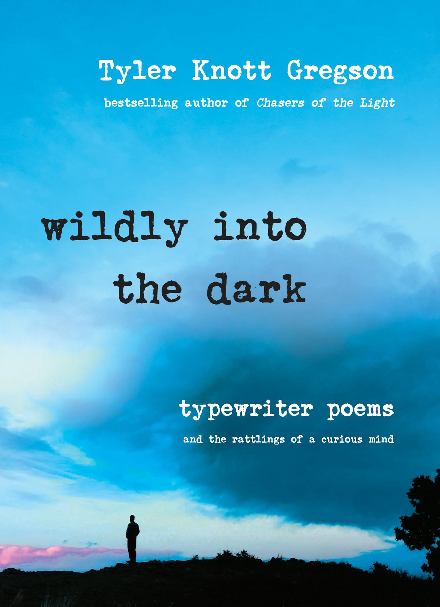 Wildly Into The Dark book cover