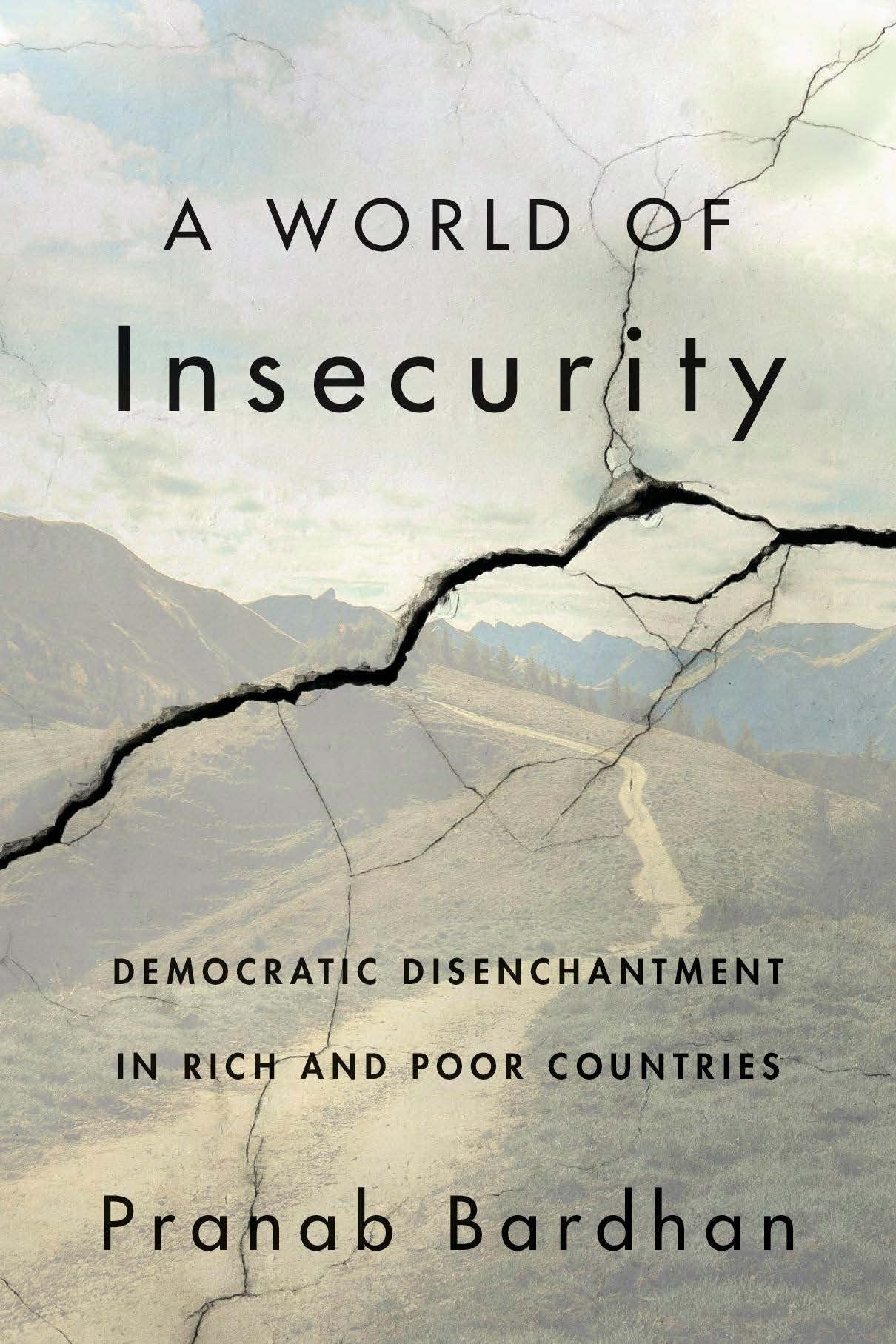 A World of Insecurity : Democratic Disenchantment in Rich and Poor Countries book cover