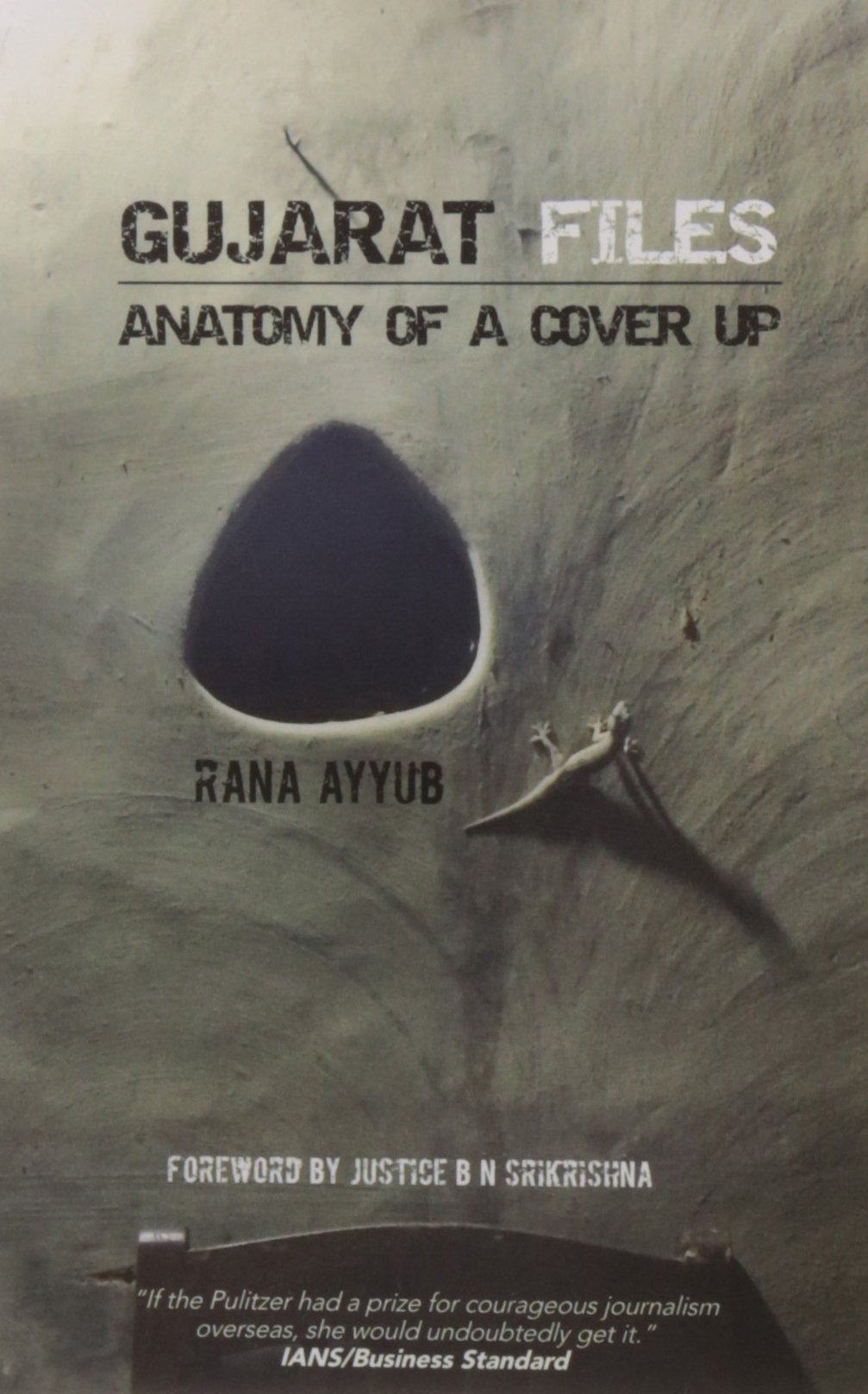Gujarat Files: Anatomy of a Cover Up by Rana Ayyub book cover