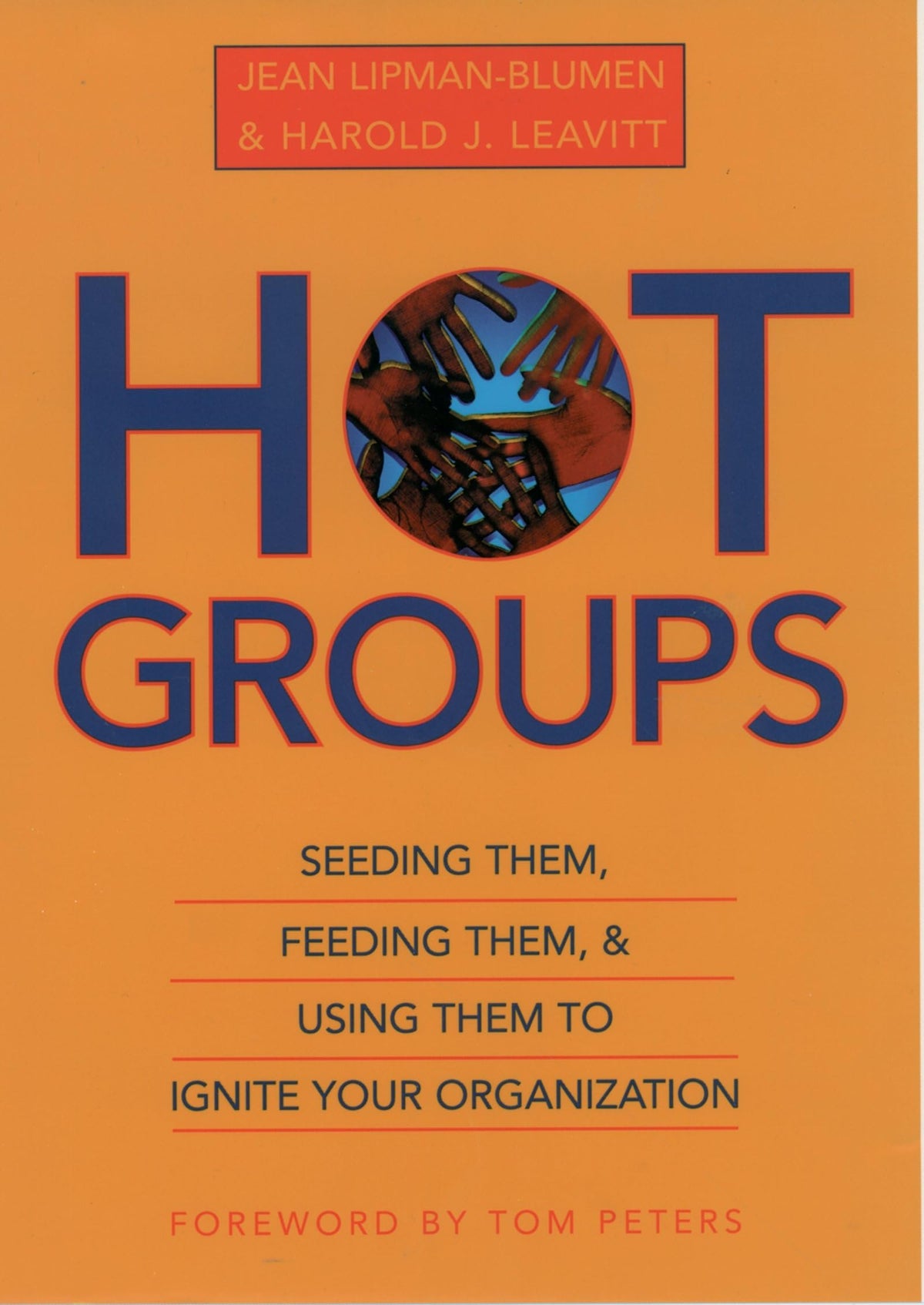 Hot Groups: Seeding Them, Feeding Them, and Using Them to Ignite Your Organization book cover