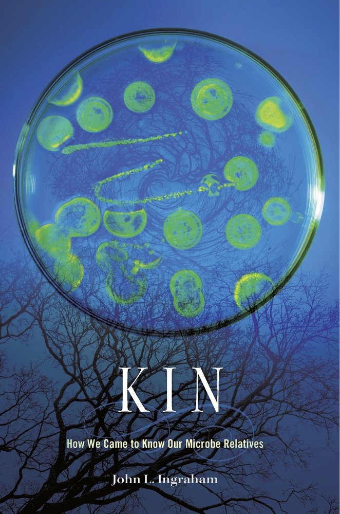 Kin book cover