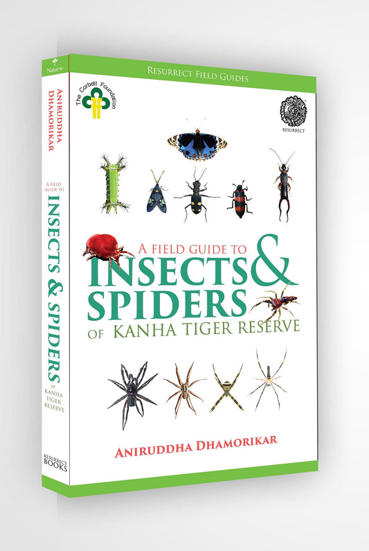 A Field Guide to Insects & Spiders of Kanha Tiger Reserve