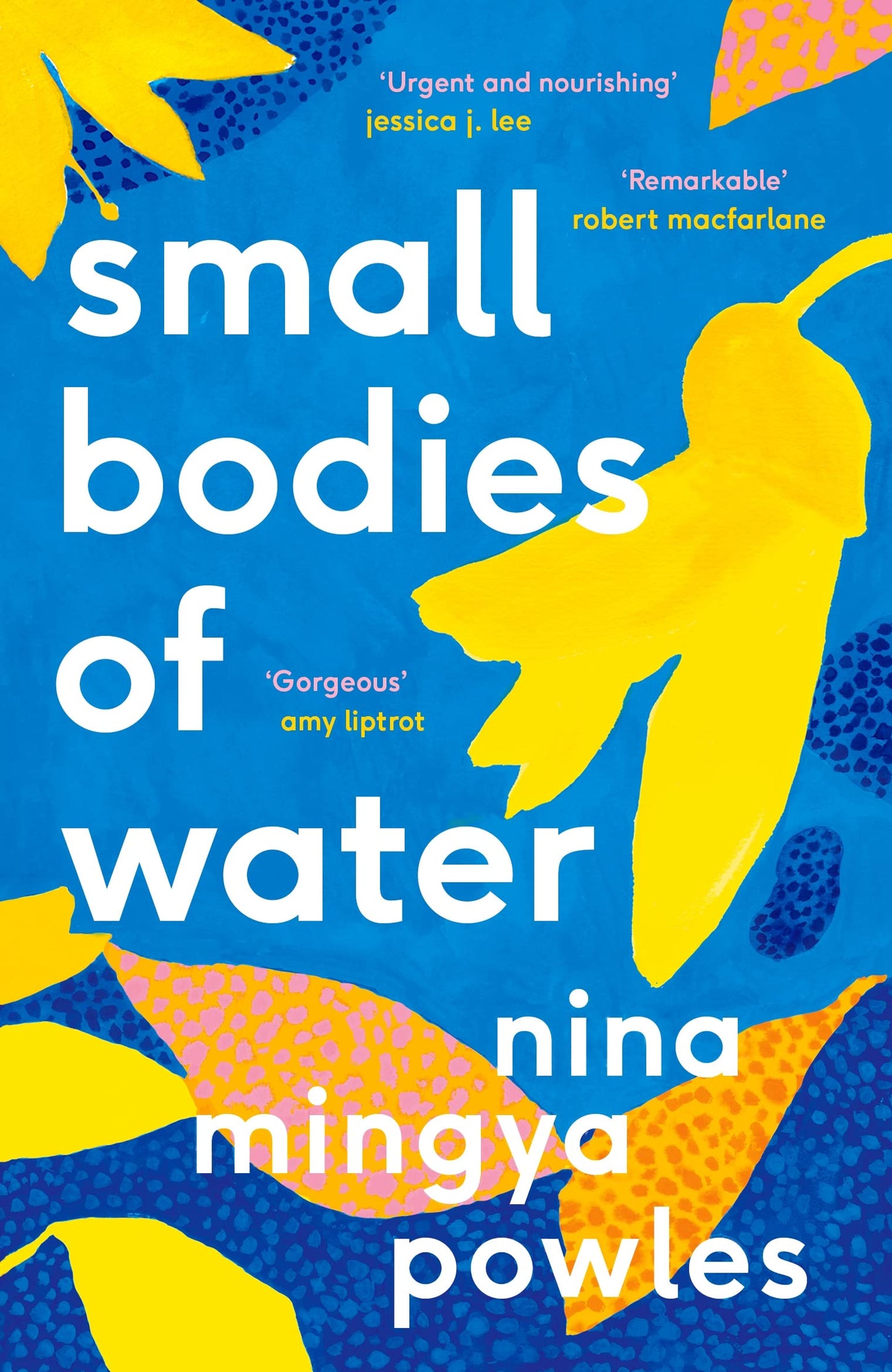 Small Bodies of Water book cover