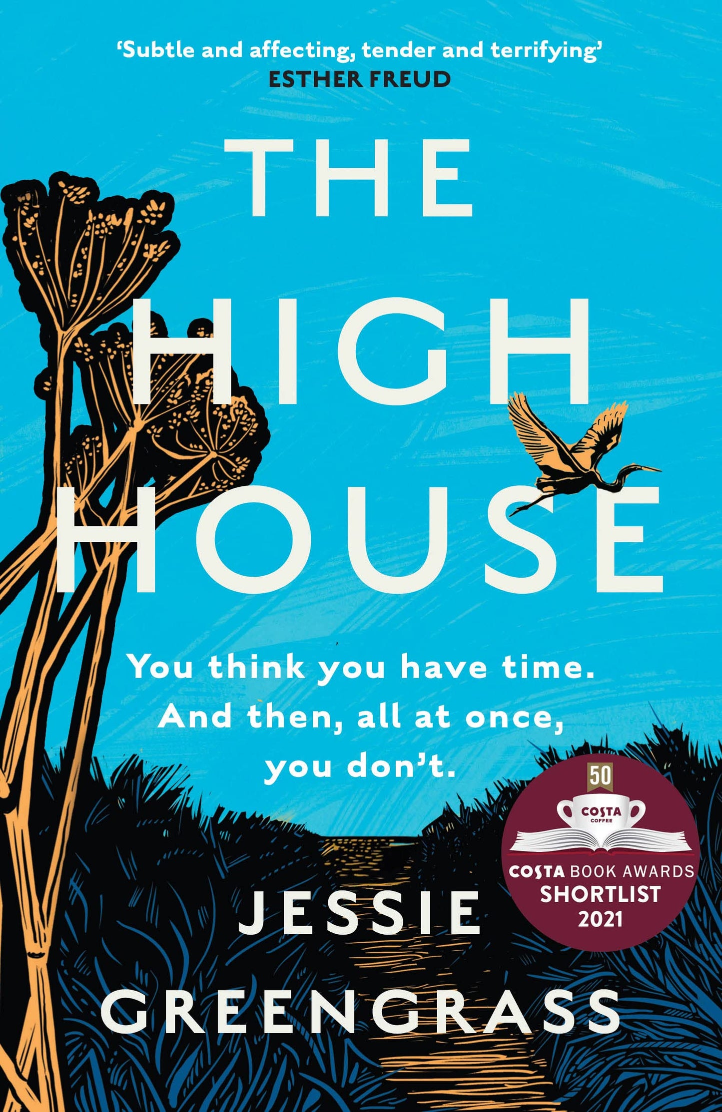 The High House (Superlead) book cover