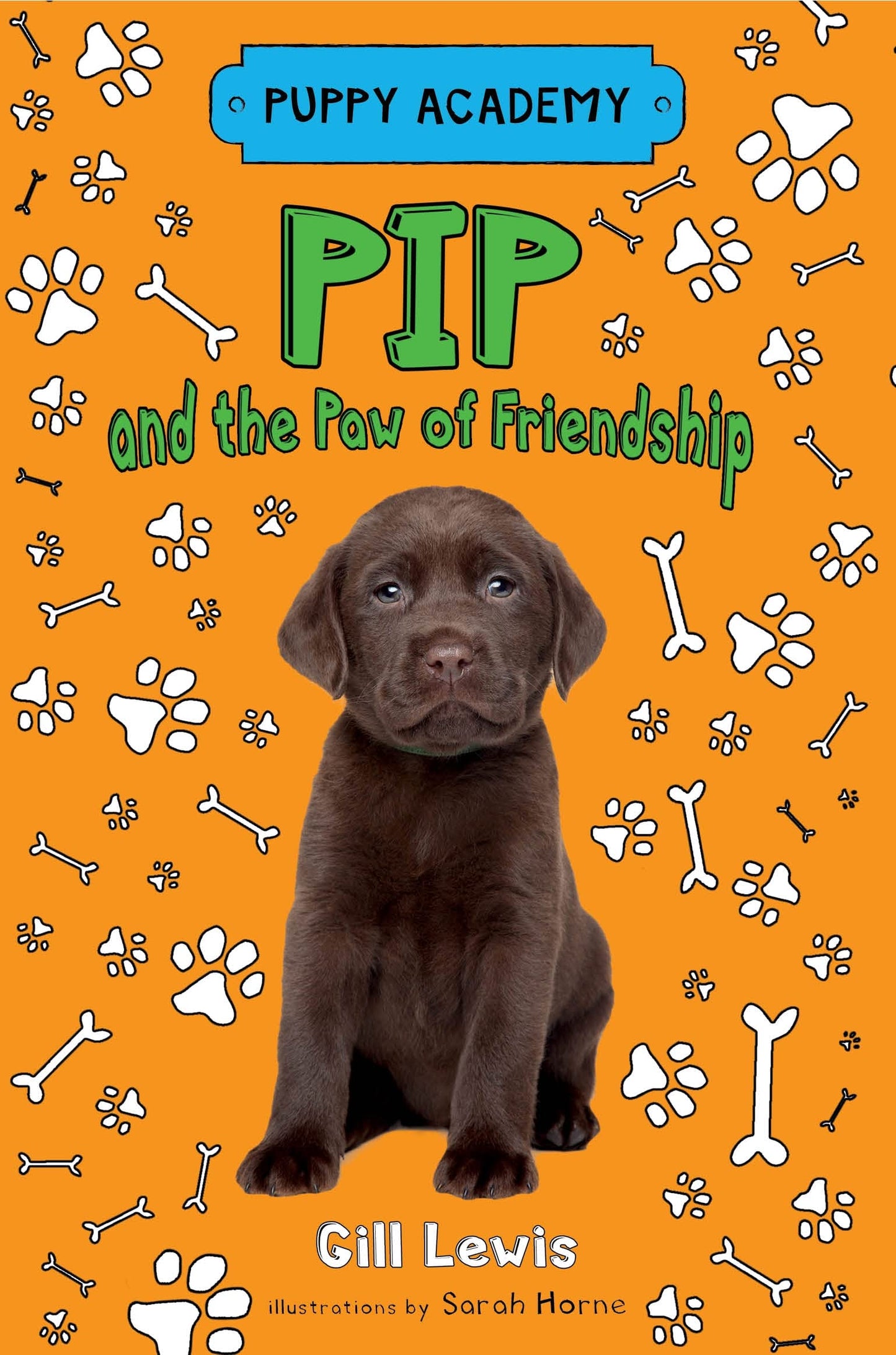 Pip and the Paw of Friendship (Puppy Academy) book cover