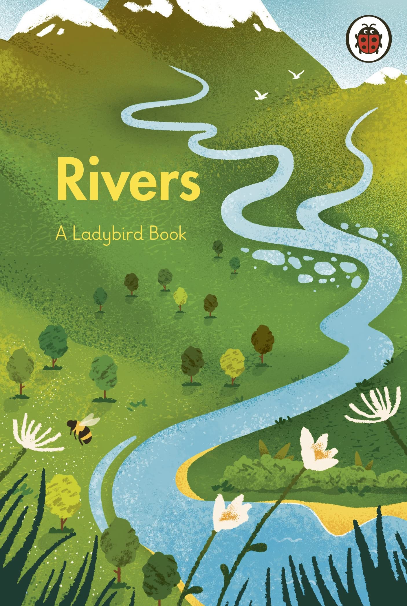 A Ladybird Book: Rivers book cover