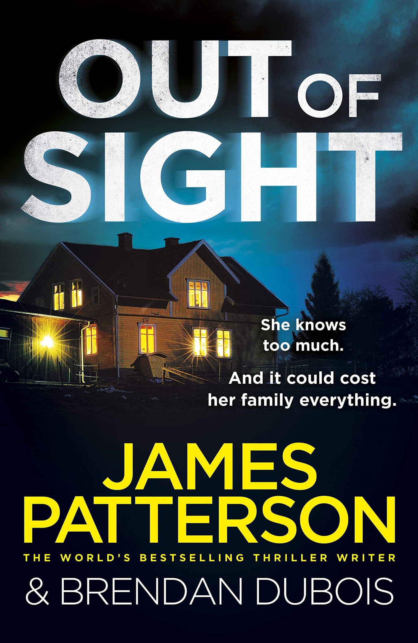Out Of Sight (Lead Title) book cover