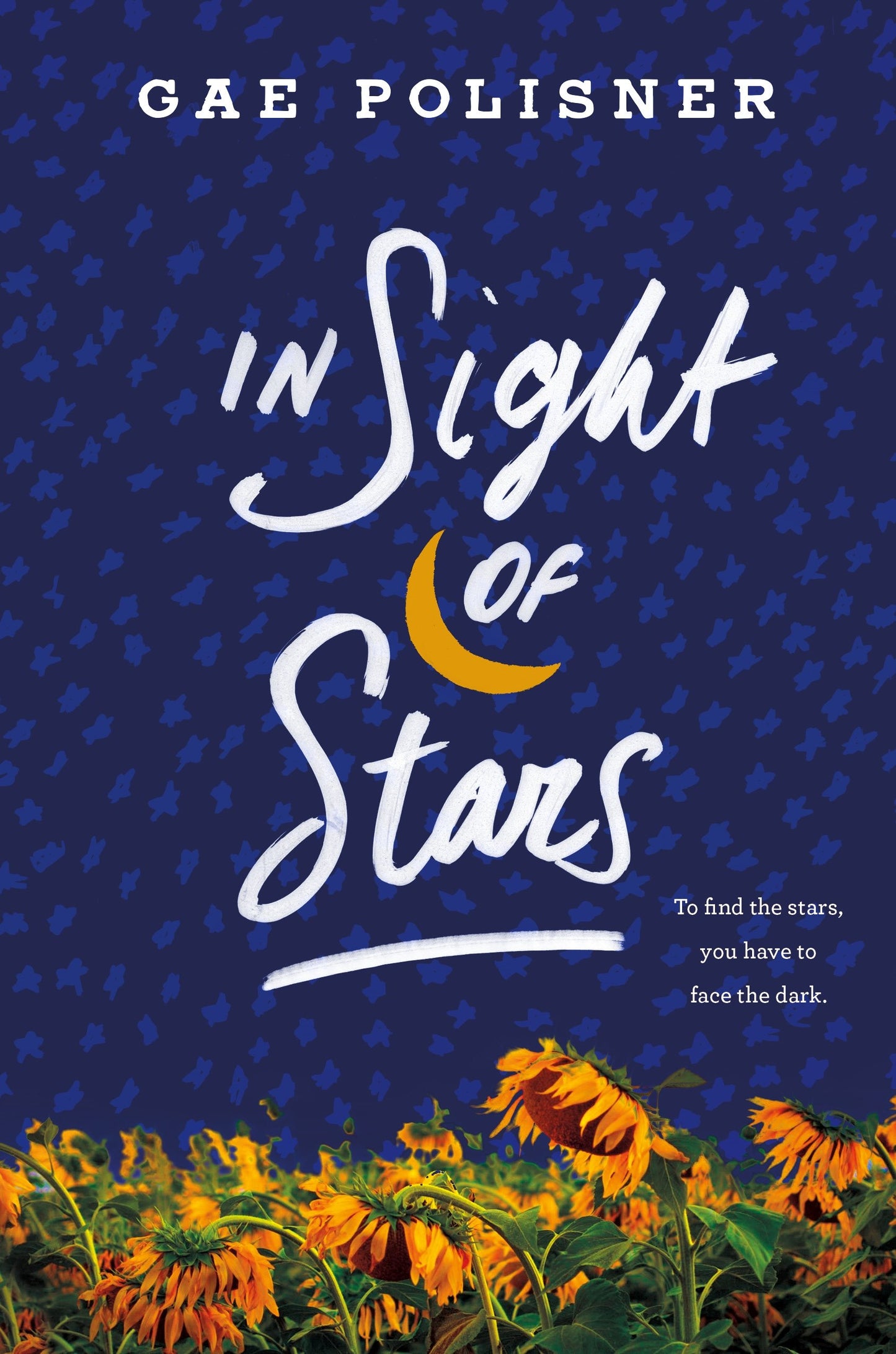 In Sight of Stars: A Novel book cover
