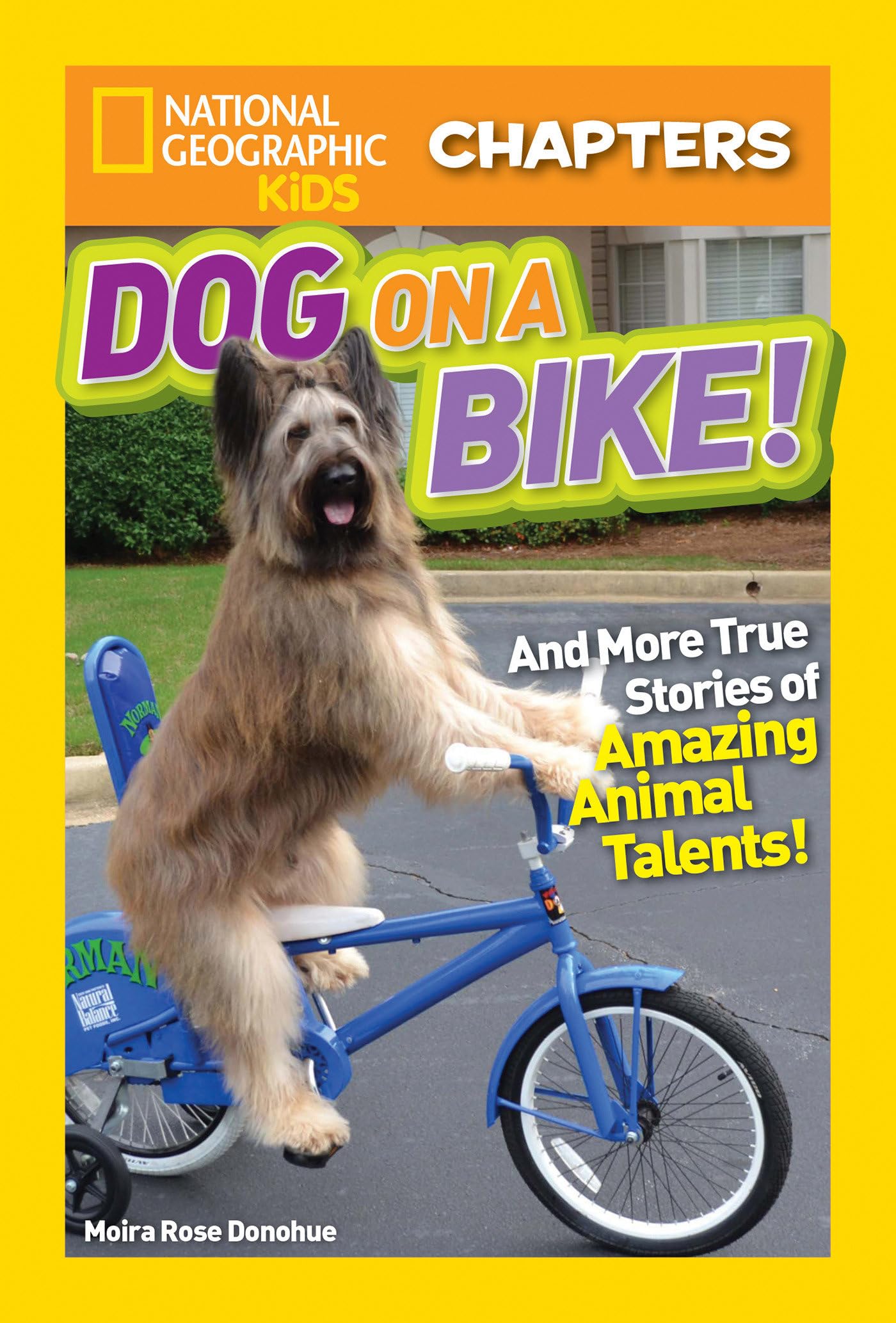 Dog on a Bike! and More True Stories of Amazing Animal Talents! (National Geographic Kids Chapter Bo book cover