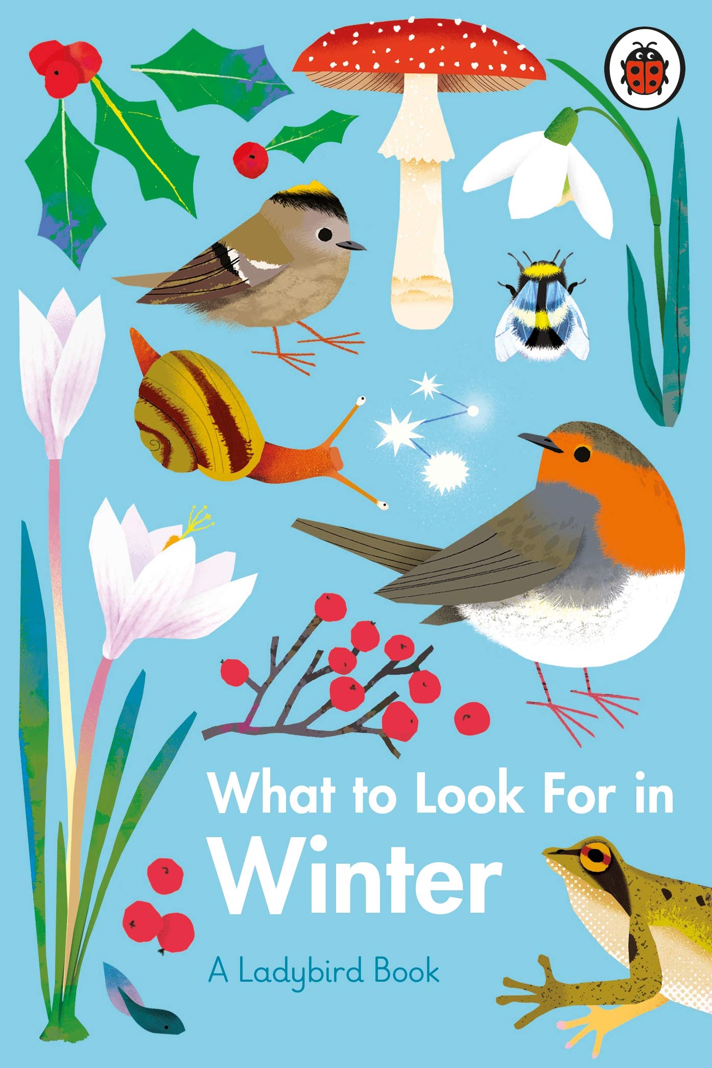 What to Look For in Winter book cover