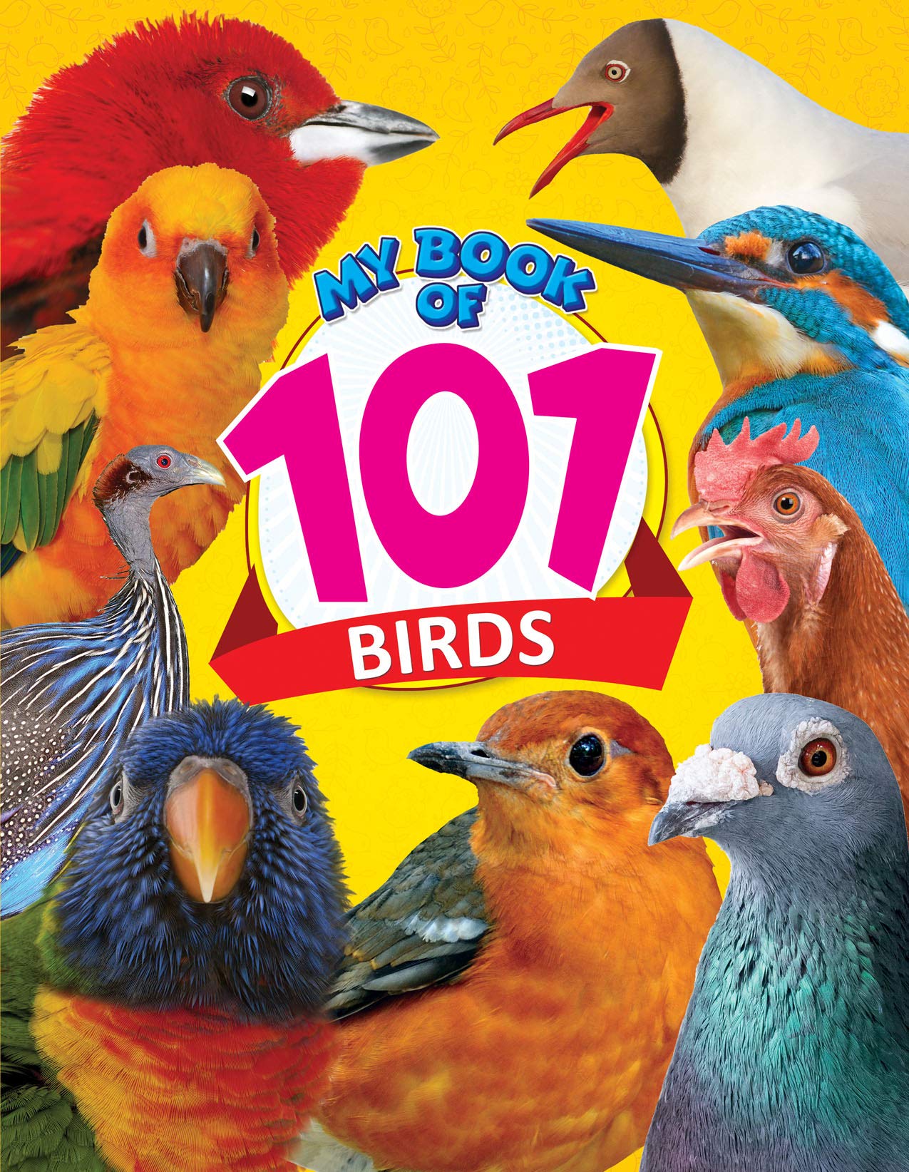 MY BOOK OF 101 BIRDS book cover